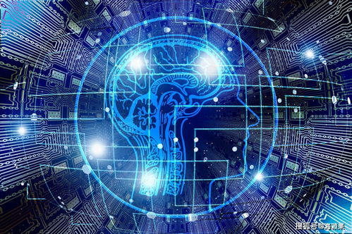 論全腦教育的重要性 海穎果科技的視角